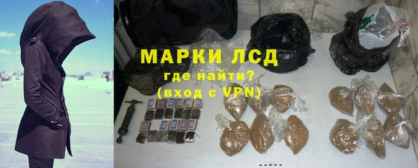 крисы Новодвинск