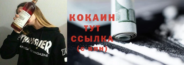 крисы Новодвинск