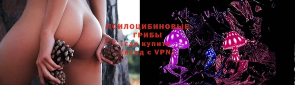 крисы Новодвинск
