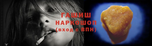 крисы Новодвинск