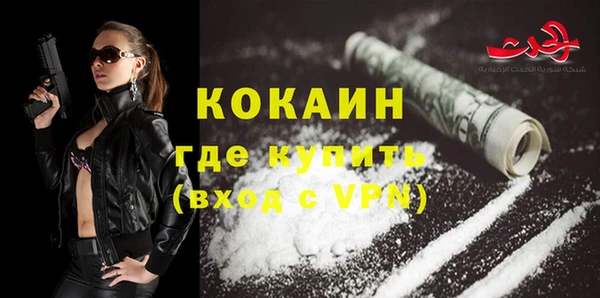 крисы Новодвинск