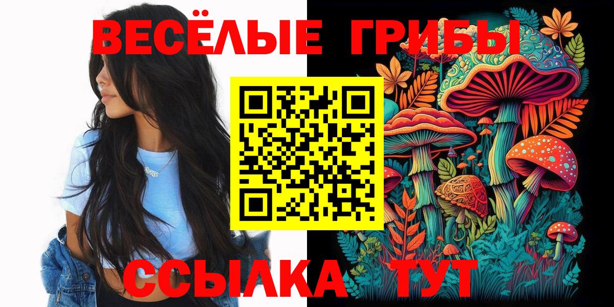 Галлюциногенные грибы Psilocybine cubensis Апшеронск