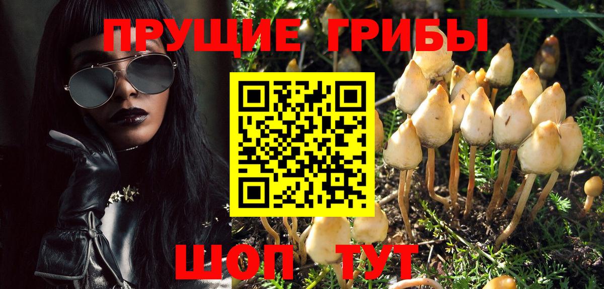 Псилоцибиновые грибы MAGIC MUSHROOMS  Галлюциногенные грибы ЛСД  Апшеронск 
